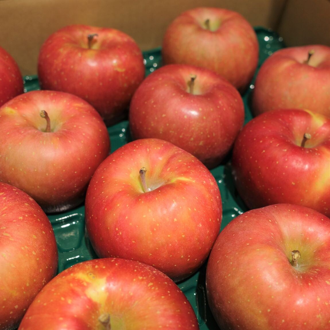 【アップルパイ】無印 洋服タンス アップルパイ】無印洋服タンス チェスト 通販 | 無印良品